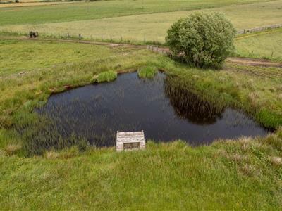 Picture 27